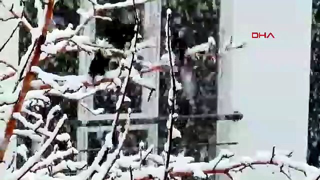 Burası Sibirya değil, Türkiye! Nisan ortasında kar esareti: Ulaşım durdu, her yer kar örtüsü altında