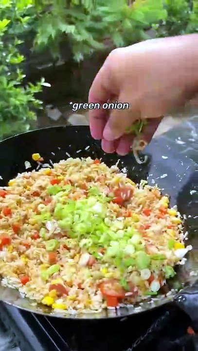 Fried Rice with Egg - Delicious compilation