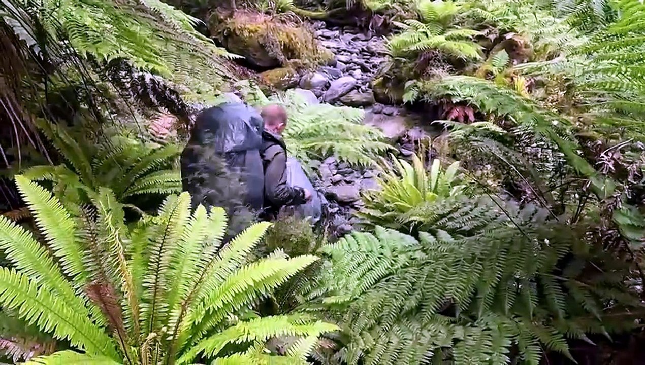 Hunter Adventures S12E07