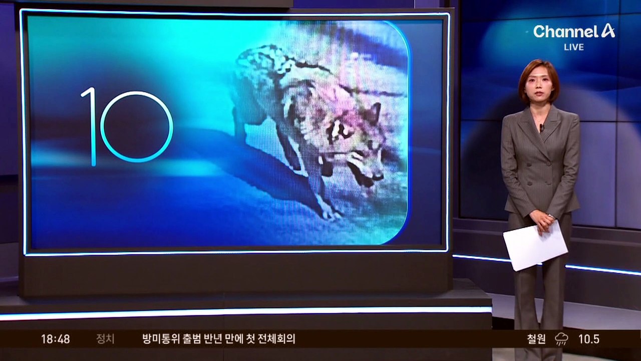 동물원 탈출한 늑대 ‘늑구’…3일째 ‘행방 묘연’