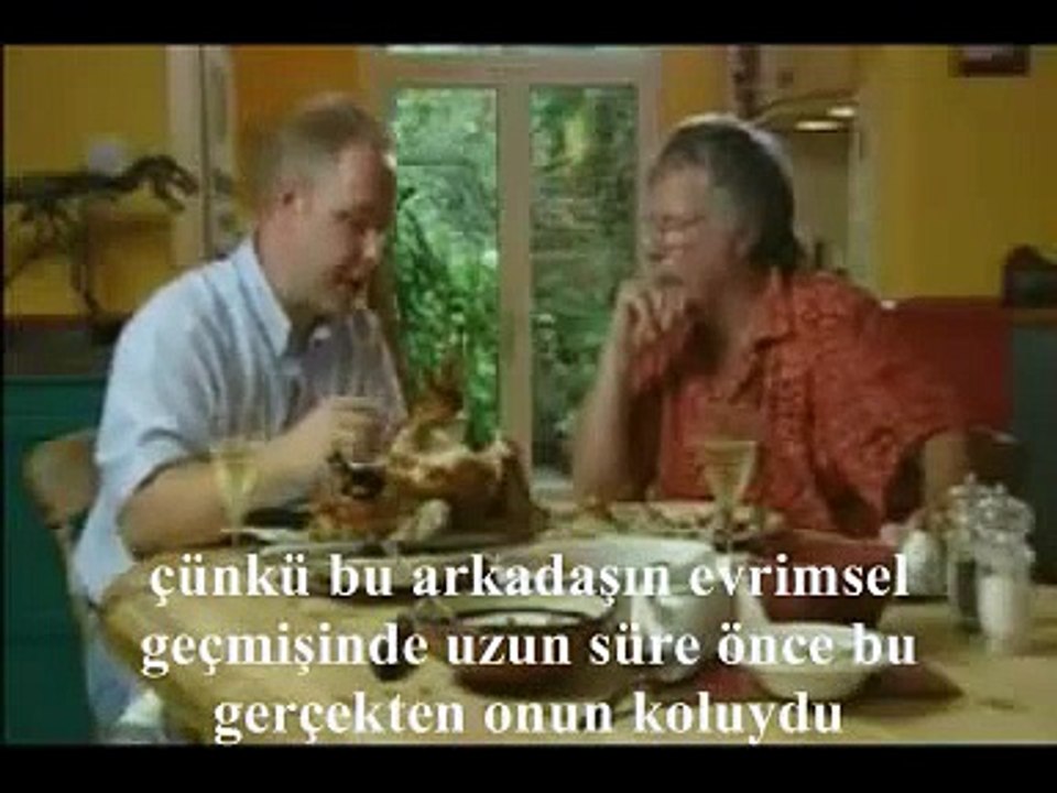 Dinazorların kuşa evrimi