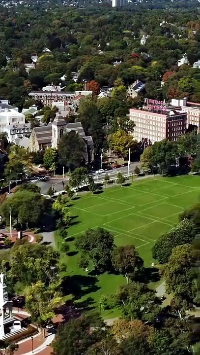 the merman prince's forbidden bride