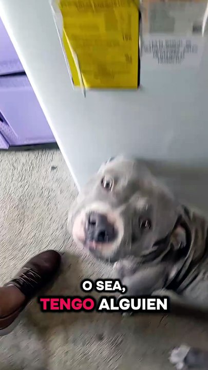 9455