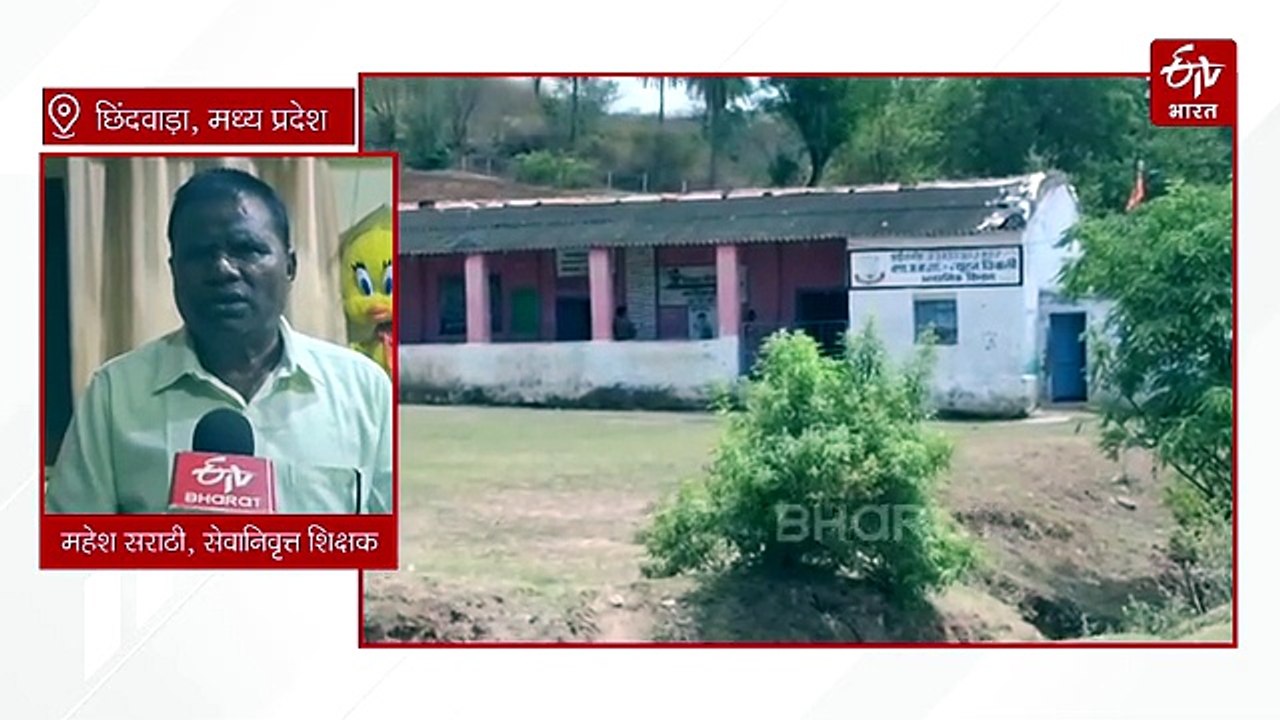 मां की ख्वाहिश में जुनूनी बने बेटा-बहू, 11 हजार पेड़ लगा वीरान भूमि पर बनाया हरा भरा जंगल