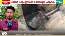 മലപ്പുറം അരീക്കോട്ട് ആലയിൽ തീപിടിച്ച്‌ കാളകൾക്ക് ദാരുണാന്ത്യം; ചത്തത് കാളപൂട്ടിനുള്ള കാളകൾ