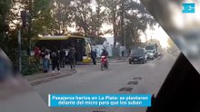 Pasajeros hartos en La Plata se plantaron delante del micro para que los suban