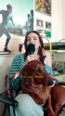 SAFEROOM Crimson Desert