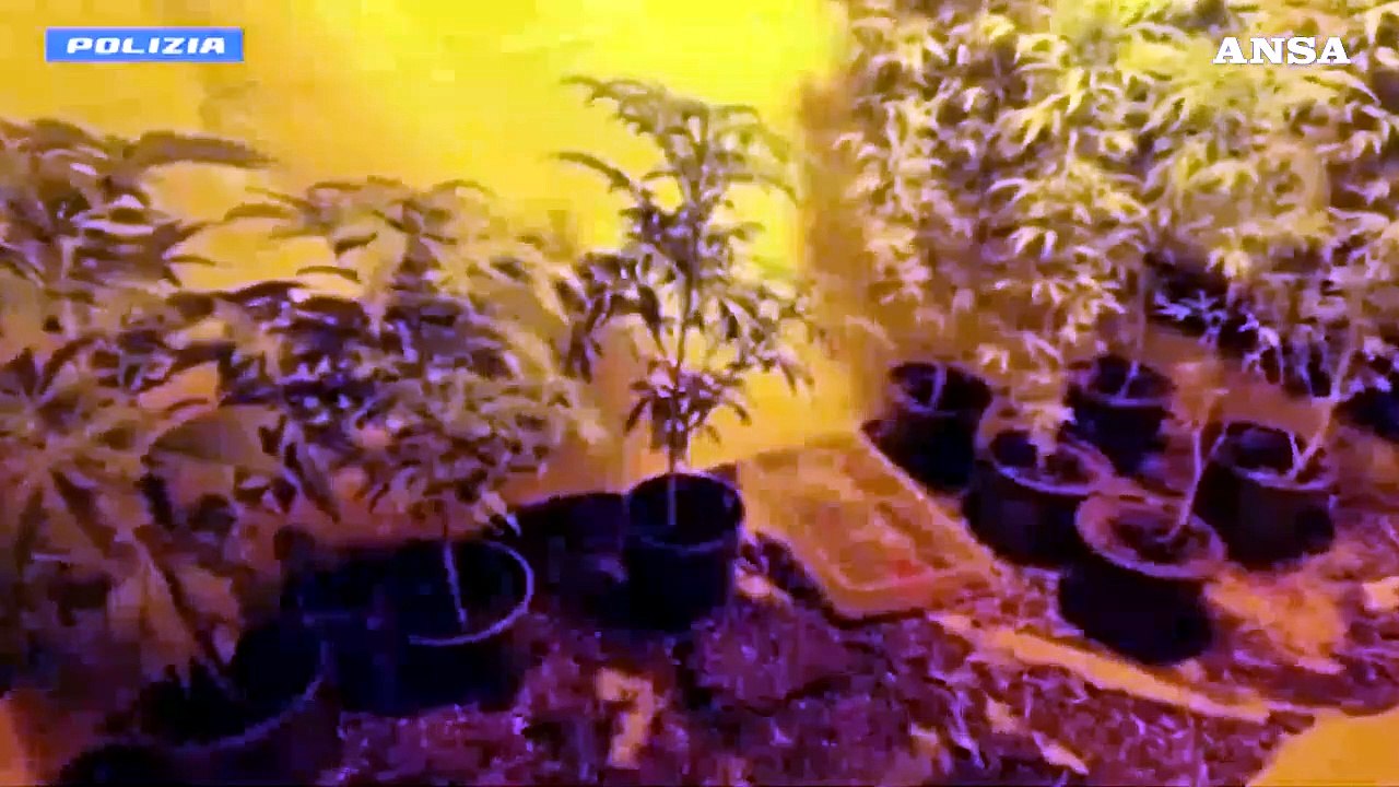 Traffico di droga, riciclaggio e armi: sgominata banda tra Milano e Malaga