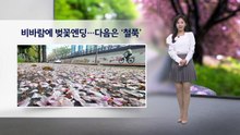 [이슈날씨] 비바람에 벚꽃엔딩...다음은 '철쭉' / YTN