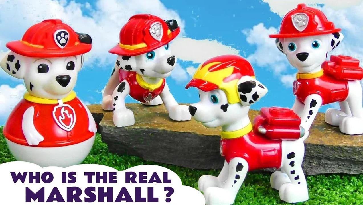 Can Paw Patrol Chase Rescue the Real Marshall from the Clone Pups?
