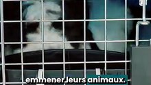 Les départs se multiplient… et certains animaux restent derrière 💔🐶🐱