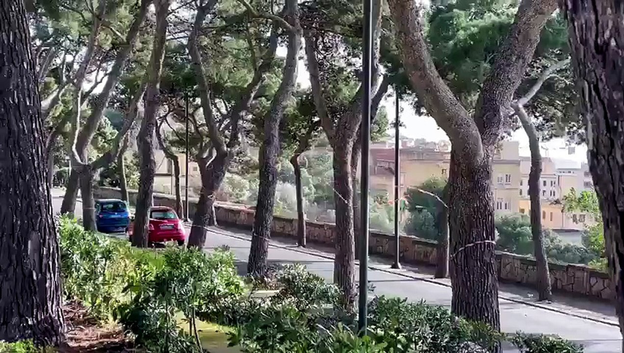 Cagliari, pericolo di caduta alberi: chiusa via Giussani, rischio stop di una settimana