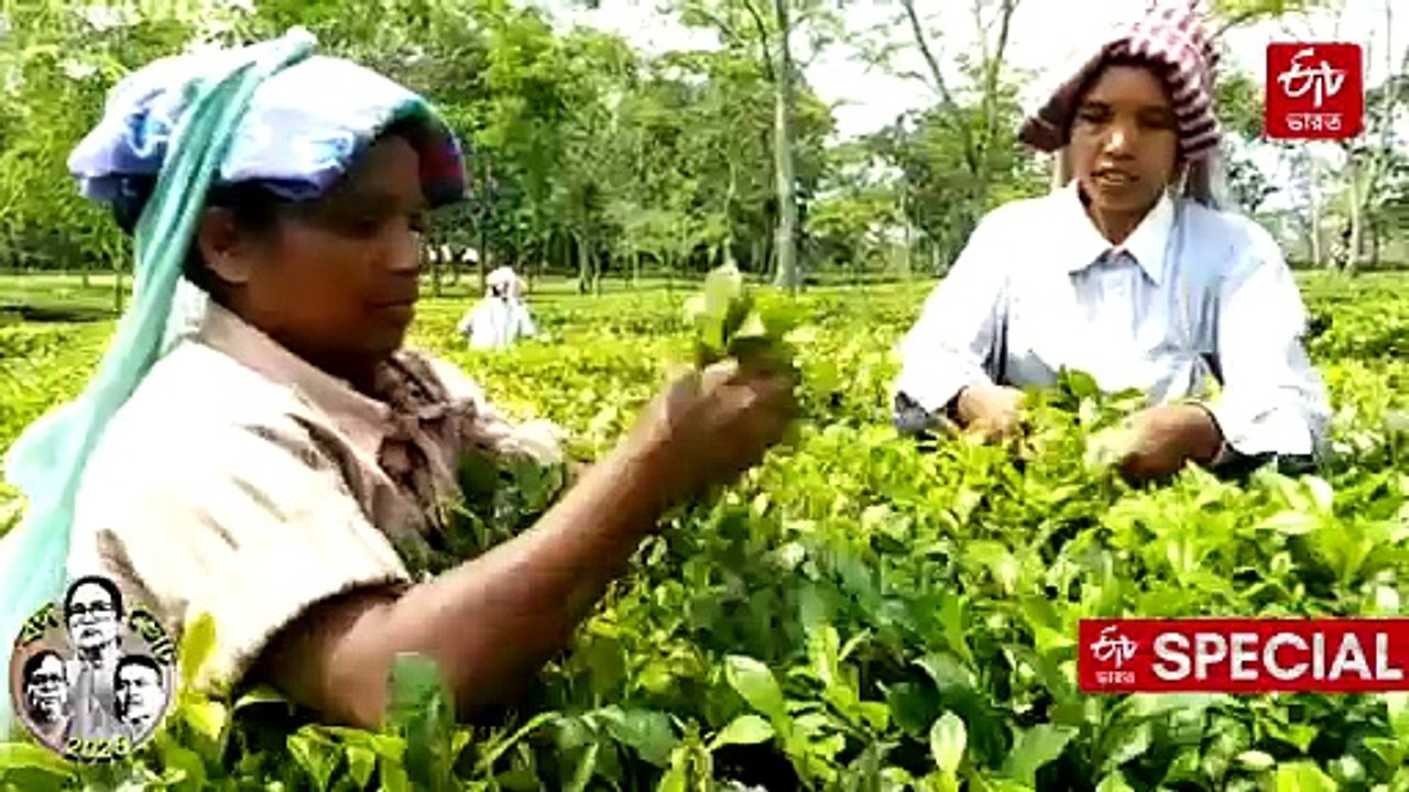 নাগরিক পরিষেবা ও শান্তি থাকলেই হাসবে পাহাড়, ভোটের আগে গ্রাউন্ড রিপোর্ট ইটিভি ভারতের