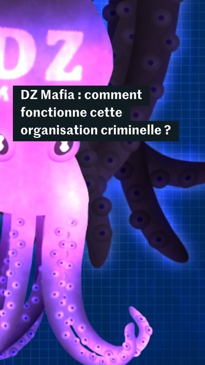 En quoi la DZ Mafia est-elle une organisation criminelle particulière ?