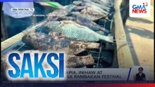 Libu-libong tilapia, inihaw at pinagsaluhan sa Rambakan Festival | Saksi
