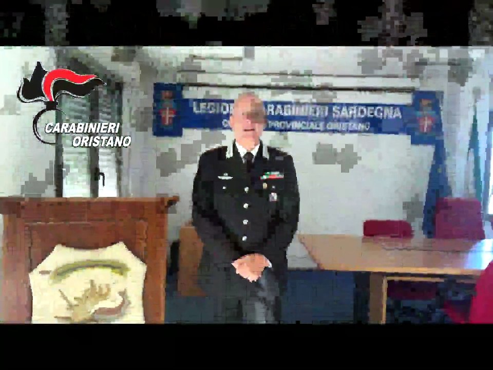 Oltre 900 piante di marijuana sequestrate a Santu Lussurgiu