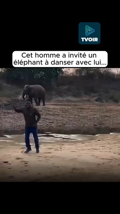 Les animaux sont les meilleurs amis de l’homme ! 😊🐘