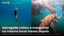 Vídeo mostra novo ângulo de ataque de tubarão a turista durante mergulho em Fernando de Noronha