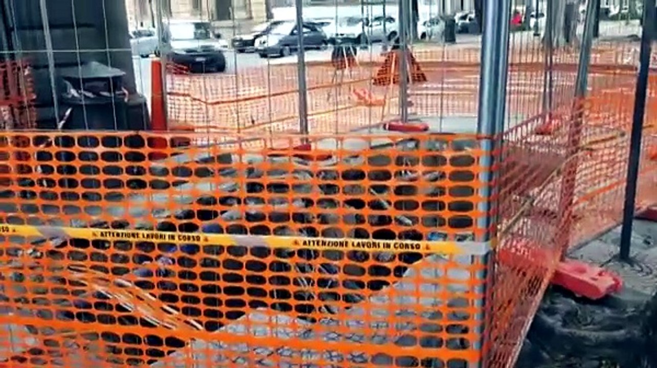 Cagliari, le radici dei ficus distruggono i marciapiedi in viale Trieste