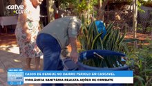 Ação para combater mosquito da dengue é realizada no bairro Periolo