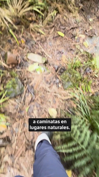 Senderismo, Trekking Y Montanismo Una Guia Para Que No Se Pierda