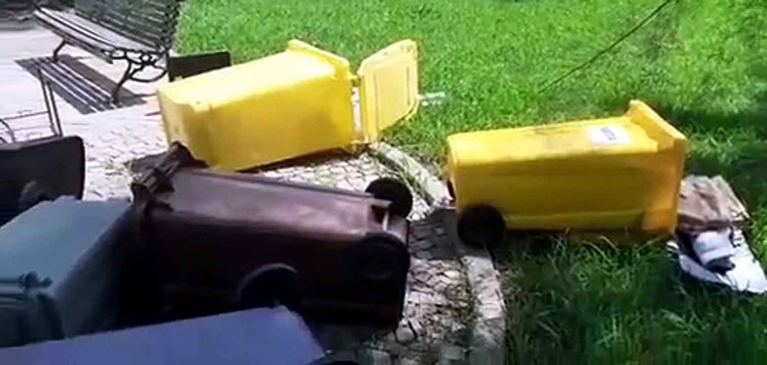 Porto Torres, vandali in azione nel parco Chico Mendes