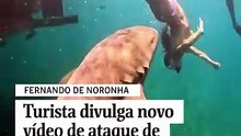 Turista divulga novo vídeo de ataque de tubarão em Noronha