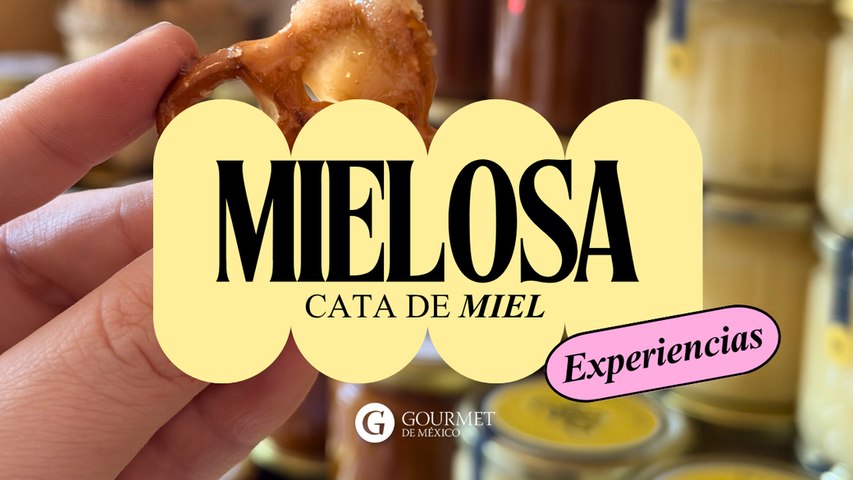 Cata de miel en Mielosa