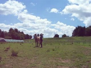 jeux, début pas espagnol, couché sur demande