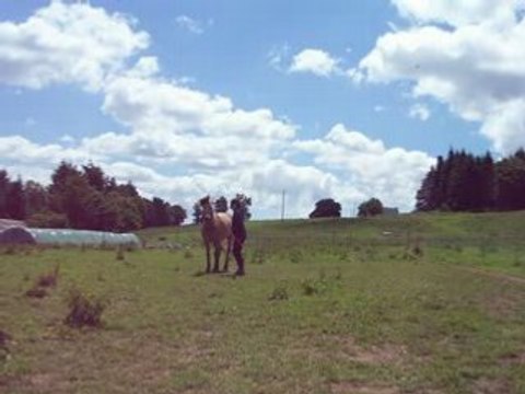 jeux, début pas espagnol, couché sur demande