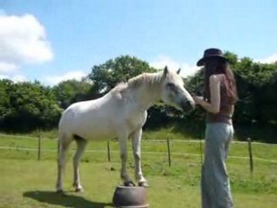 Coquette sur le tabouret