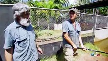 Dirty Jobs - Journey to Croc Country