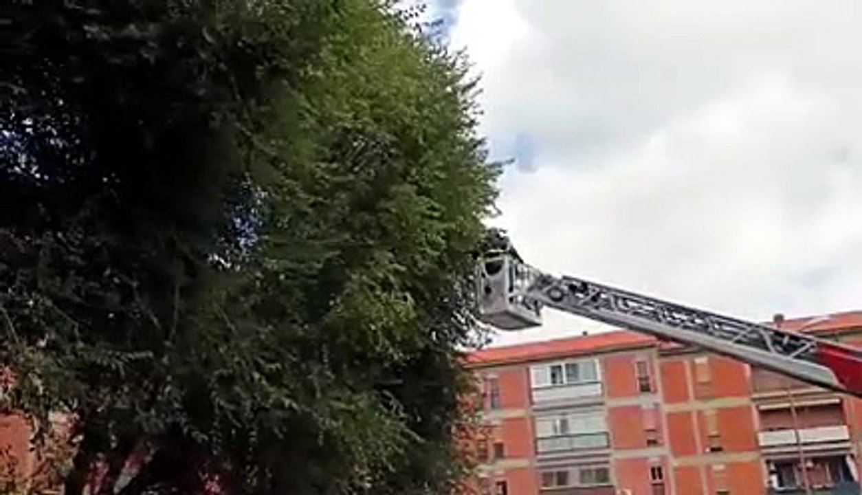 Vento a Sassari, in piazza Toscanini ancora un intervento dei vigili del fuoco per alberi pericolanti