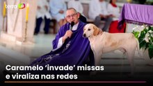 Cachorro caramelo passa a frequentar missas e conquista padre e fiéis no Paraná