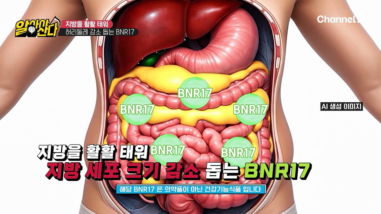 허리둘레 5cm 감소 실화? 지방 태우는 유전자를 깨우는 'BNR17'의 놀라운 효과