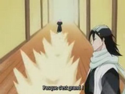 Bleach 174 preview vostfr + bonus