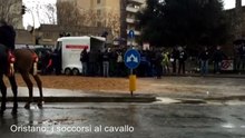 Oristano, i soccorsi al cavallo ferito