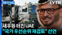한국 '천궁' 덕 본 UAE..."국가 우선순위 재검토하겠다" [지금이뉴스] / YTN