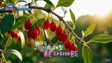 혈관을 날씬하게 만드는 '붉은 다이아몬드'의 정체