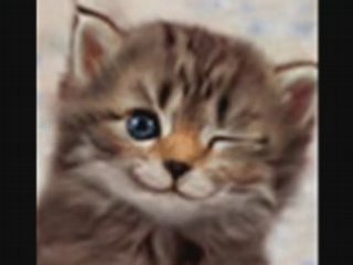 15 Причини Да Се Усмихнеш