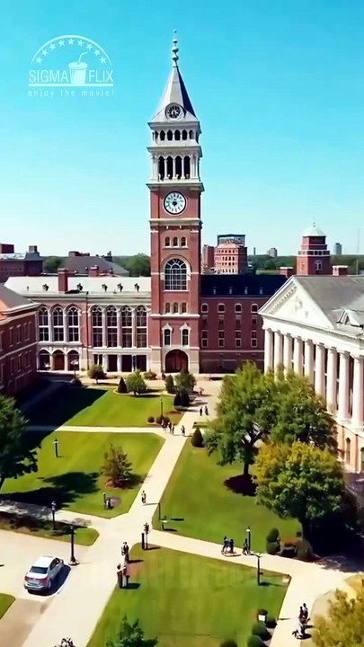 Grávida dos Gêmeos do Bilionário, O Amor Começa (Dublagem) #DRAMAX