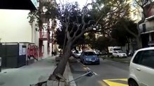 Cagliari, il crollo di un albero in via Dante