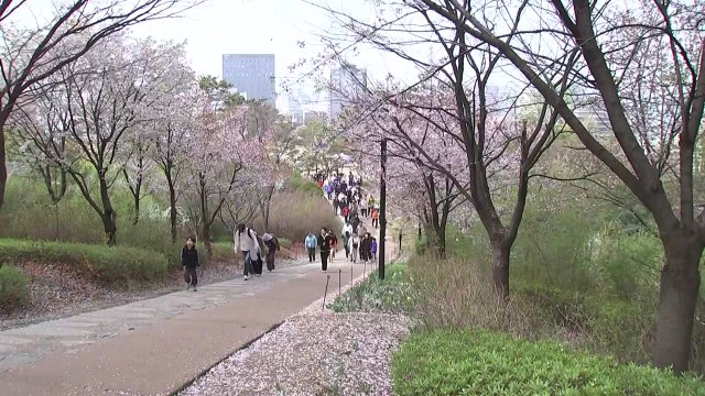 가족과 함께 걷는 봄...'남산 가족 걷기 대회' 북적 / YTN