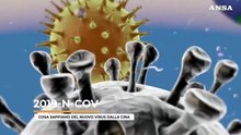 Cosa sappiamo del 2019-n-CoV, il virus dalla Cina
