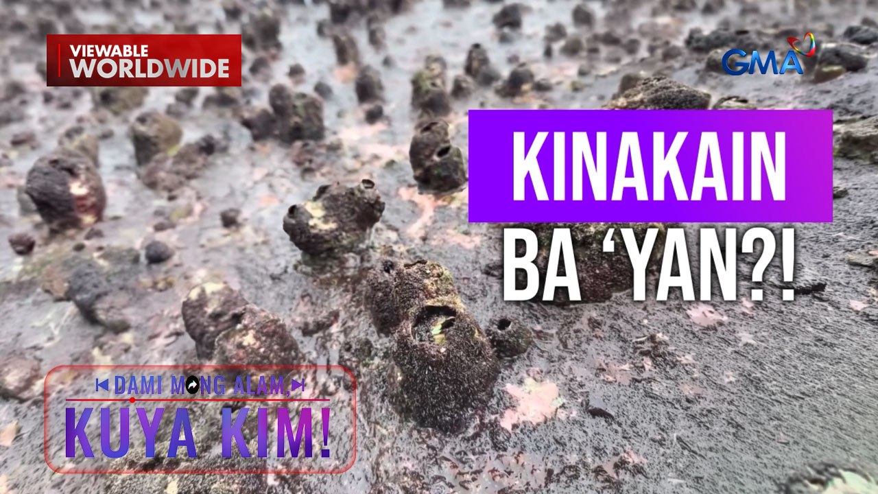 Pagkaing nakukuha sa katawan ng balyena at pawikan, ligtas bang kainin? | Dami Mong Alam, Kuya Kim!