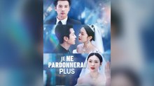 Je Ne Pardonnerai Plus