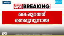 താനൂരിൽ തെരുവുനായ ഭീതി; മുക്കോലയിൽ രണ്ട് വിദ്യാർഥികളടക്കം മൂന്ന് പേർക്ക് കടിയേറ്റു