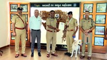 DOG AWARD OF #GUJARAT POLICE DOG WINNING GOLD & BRONZE MEDAL IN MAHASRASHTRA;TRAINED BY HANDLER #GANDHINAGAR