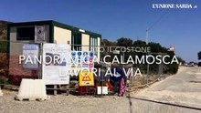 Calamosca