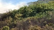 Muros, ancora piromani in azione. In fumo sei ettari di campagna. VIDEO